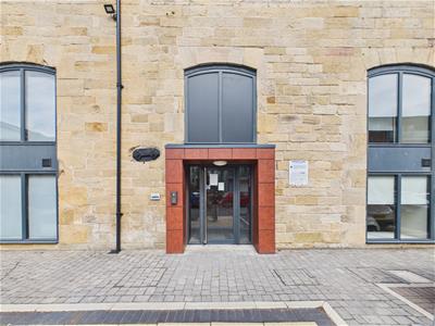 Picture 15
